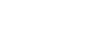 Hot logo white