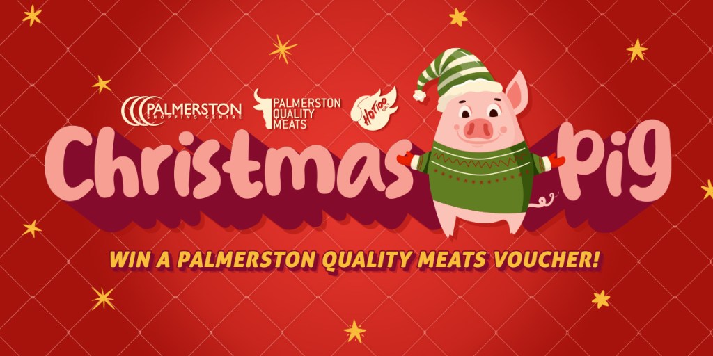 HOT100 CHRISTMAS PIG